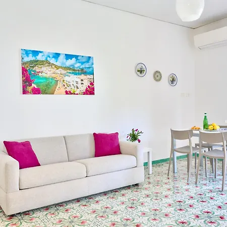 Sasa * سورينتو